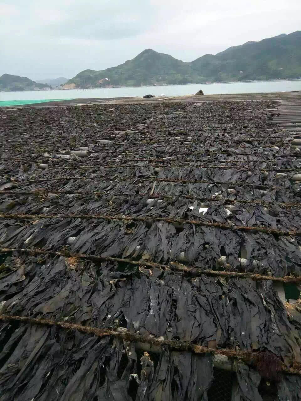 微信图片_20240516212457