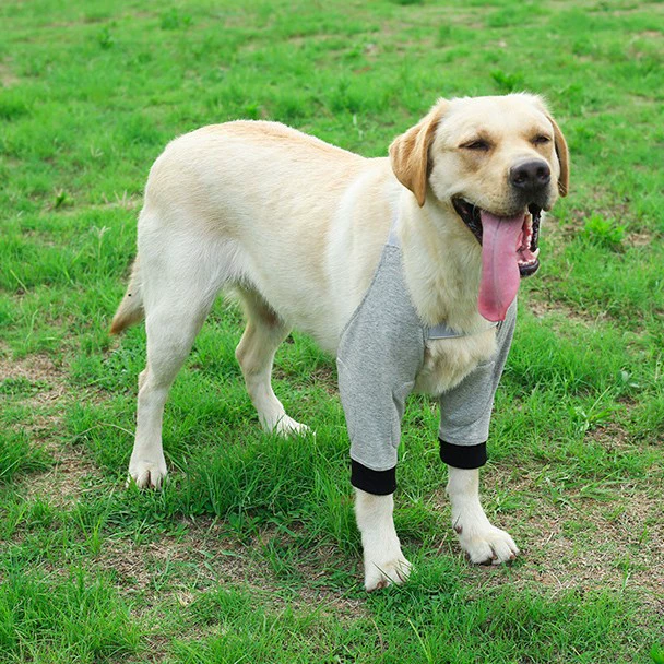 Защита колена для домашних животных Защита колена для собак