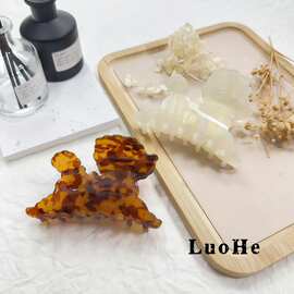 络禾饰品果冻醋酸发夹大号小狗抓夹超仙简约优雅果冻色鲨鱼夹发夹