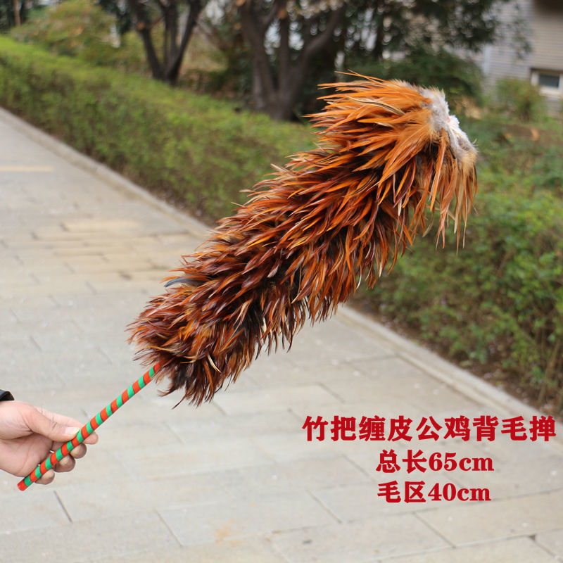 df693181-f0a4-4640-adda-b45c6a80b257.jpe