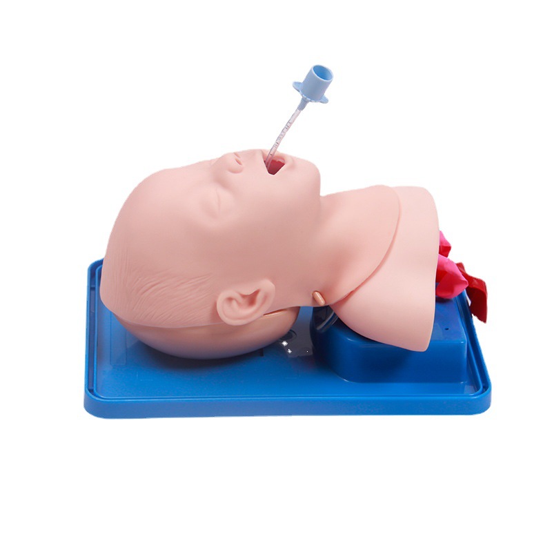 Boyou Classy Infant Tracheal Intubation Model J10 Pediatric Tracheal Intubation Practice Artificial Baby Mold