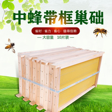 成品巢框中蜂蜂巢带巢础框蜜蜂框架巢基巢脾蜂箱养蜂工具10个