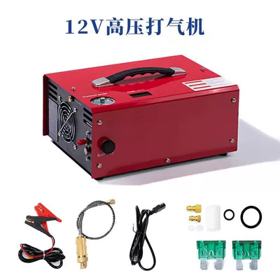 Automatic shutdown model 220V12V Hava nasosu - flame-red-12v-110v-us-gauge