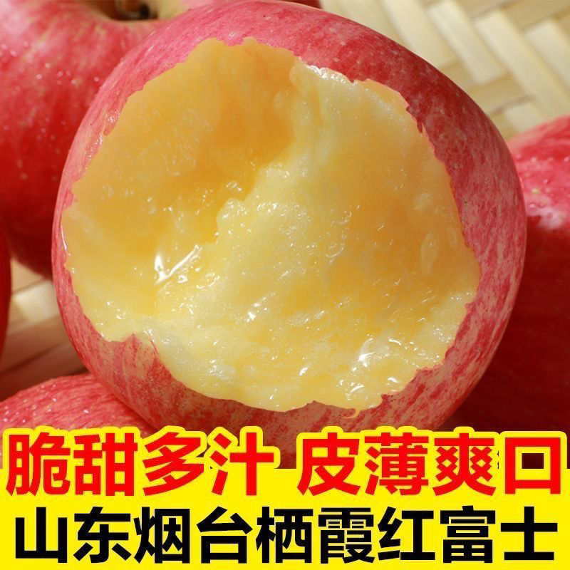 山东烟台红富士苹果栖霞新鲜应季水果冰糖心一件代发送礼产地直供
