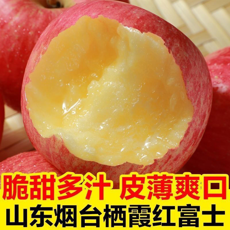 Shandong Yantai Red Fuji Apples, Fresh Seasonal Fruit from Qixia, with Rock Sugar Core, One Piece for Gift Delivery, Direct Supply from the Place of Origin Shandong Yantai Red Fuji Apples, Fresh Seasonal Fruit from Qixia, with Rock Sugar Core, One Piece for Gift Delivery, Direct Supply from the Place of Origin