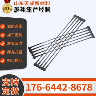 单向塑料格栅可定制TGDG80kn路基加筋护坡挡墙单向拉伸塑料格栅