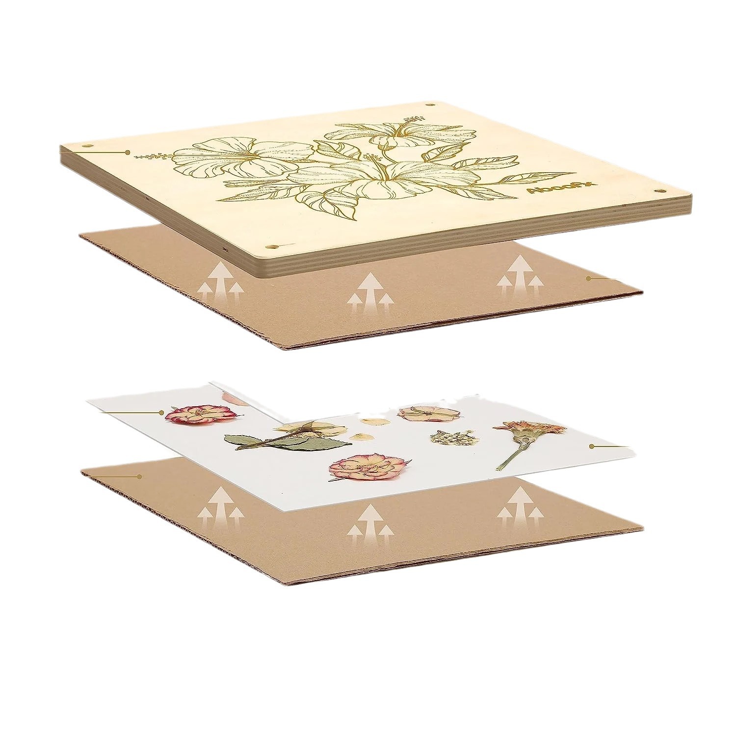 Dispositivo de estampado de madera, espécimen de flores de plantas, tablero de madera en relieve casero, herramienta de producción de dispositivo en relieve casero de bricolaje para niños