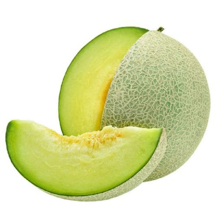 Сетчатая Дыня Роза Дыня свежий сбор Изысканная сетчатая Дыня теперь сбор маленькая Роза сетчатая Дыня поколение волос