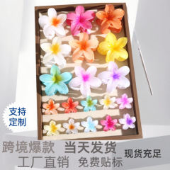 跨境彩色鸡蛋花发夹高级感精致花朵发夹后脑勺盘发马尾半扎发发夹