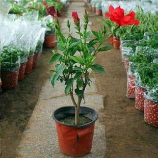 �ذ��ɣ����ͥԺ���Է�ɣ����ذ�����ĵ��ܽ�ػ���������ɣ