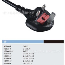 ���aJT006AӢҎ��оBSI1363���^SAS0ɳ���J�CH05V-K�ߜ��Դ��