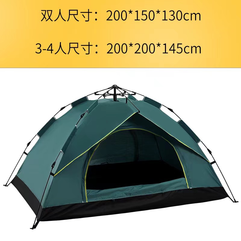 짙은 녹색 2~3명