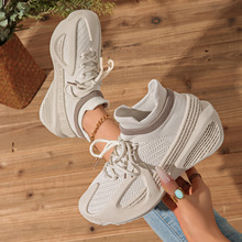 2026�����¿��w�����e��Ь���Գ����w��������ϵ����Ь�F؛�W��Ь