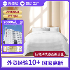新しい小さな正方形のブランケット、厚みのあるクロスボーダーの既製のショートベルベットブランケット、エアコン付きのブランケット、コンプリートセット