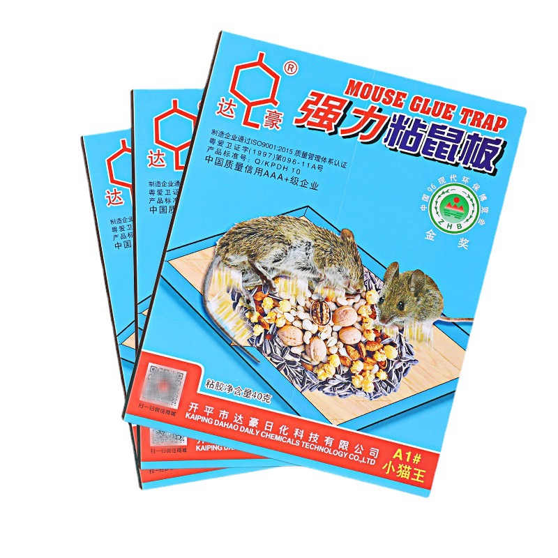 Gallery 4
