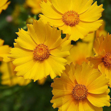 F؛lļջMϷN @־GN ̨ܽuշN