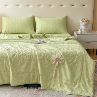 Dropshipping Little Apple Home Textile Factory Store Main Store New Knitted Cotton Massage Cool Bean Summer Quilt Internet Celebrity