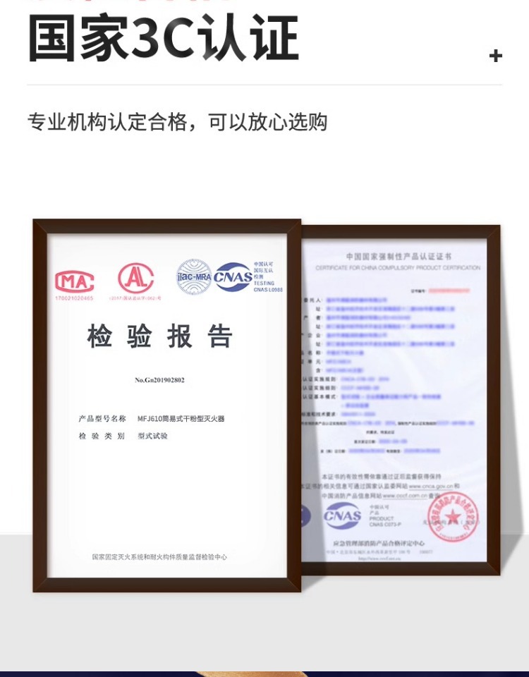 Laiben 21B Dry Powder Vehicle Fire Extinguisher New National Standard Annual Inspection Vehicle-Mounted Household Portable Small Fire-Fighting Equipment