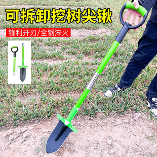 Outlet pointed shovel outdoor digging steel shovel digging yam digging tree special shovel agricultural detachable shovel
