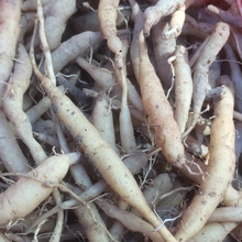 һIUɽҰr^I̫Ӆa/IѽL