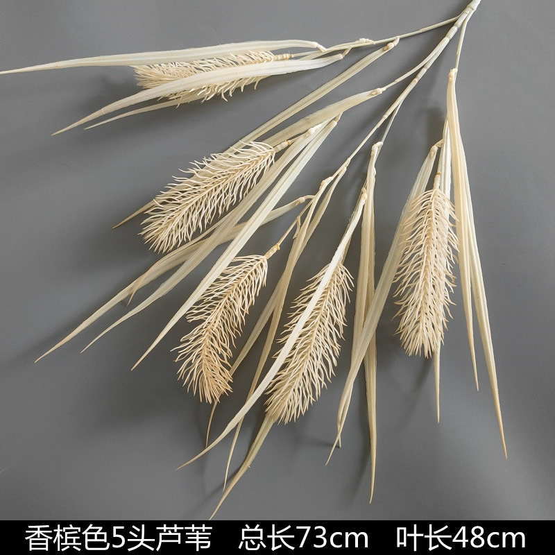 シャンパン色の結婚式の花の花の花の材料の結婚祝いの装飾の花の講堂の装飾の花のプラスチックの花の道は花の造花を導いています。|undefined