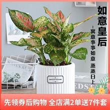 ����ʺ�����ֲ���k���҃ȿ͏d����ˮ��С�Gֲ�����t����ϲ�c����