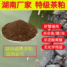 ������������ɷ��w��ˮ�a���s�~�x�ݲ������N�߲˹��䚢�x����