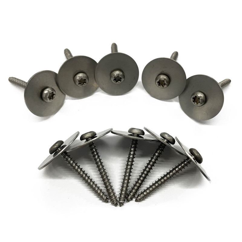 Customized stainless steel plum-shaped round head self-tapping…