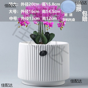 Flower Pot Ceramic with Tray Extra Large Clearance Special Price Household Orchid Phalaenopsis Special Fleshy Flower Pot Living Room