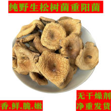 ��Ұ���ɘ����؛�������鹽���Ź��������ꖸɾ��Ӄ�؛�o���