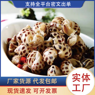 �������r�ك�������̖�����r������|�L��ؐ�����ԭ���������l