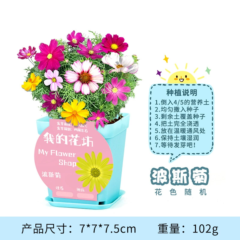 Materials set for experiments for kindergarten, DIY, science, generating electricity, mini experiment, Birthday gift