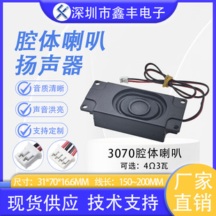 ǻ�w���� 3070��ǻ 4�W3W 8�W2W�V��C�����Z�������͟��C�P��