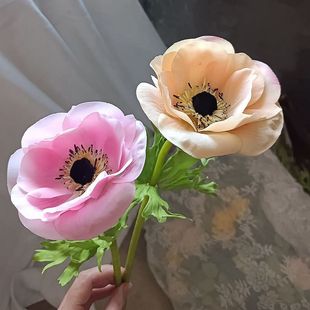 �ߙn�������滨�ָб����yɏ����c·���Ƶ��b��^�̼ٻ����l