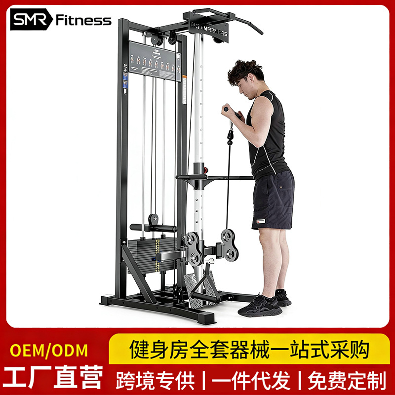 Single-Sided Bird Trainer Commercial Multi-Functional Fitness Equipment for Home Use with Integrated High and Low Pull-Down Function