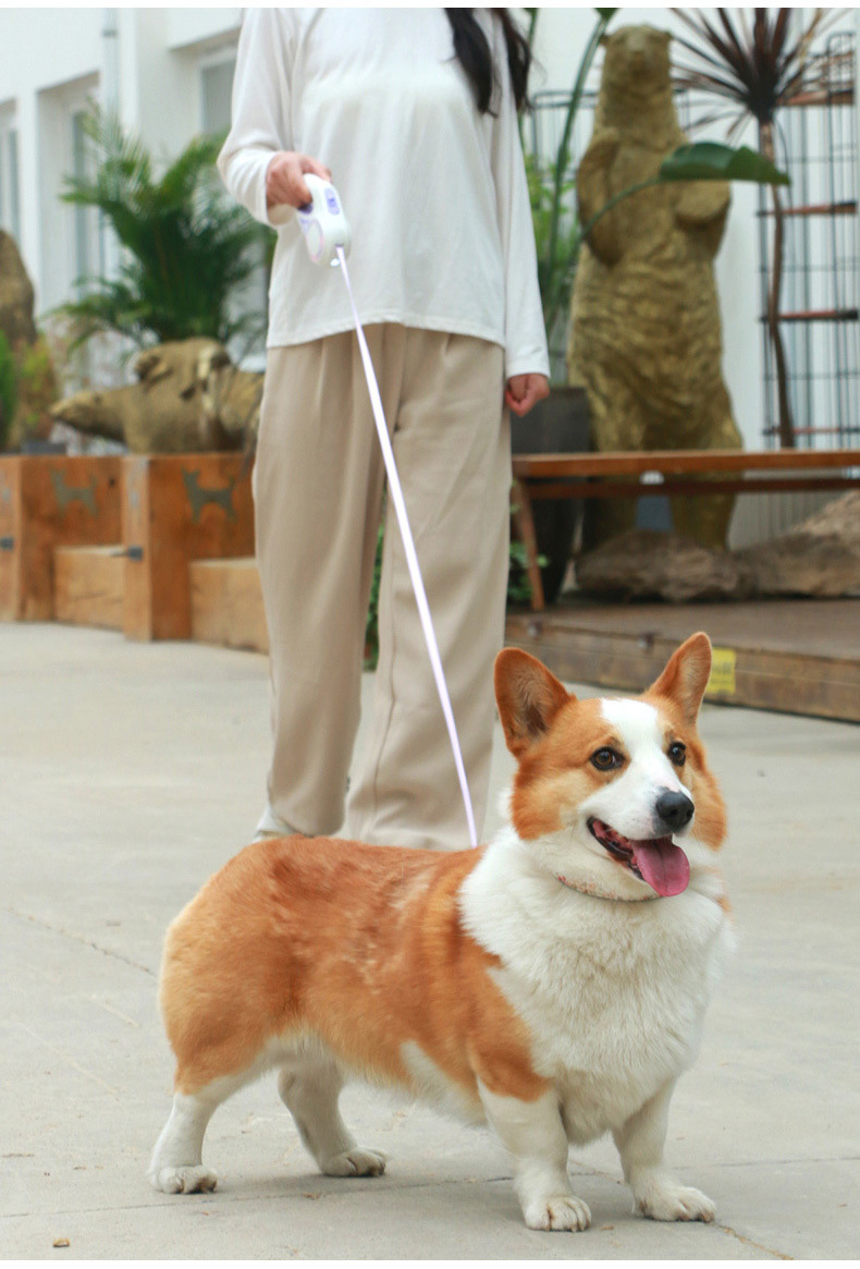 204b3e5a-27e0-4fe2-ad4a-b430be4fcb98.jpe