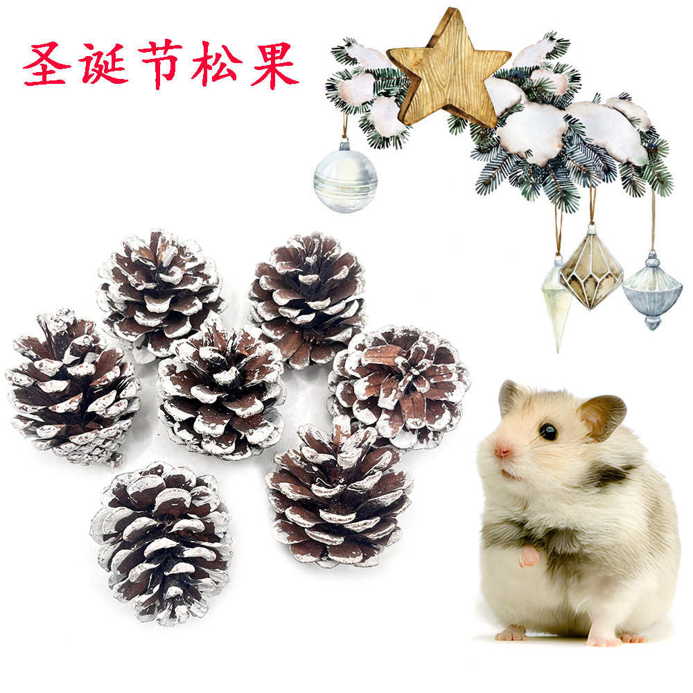 Pinine Natural Decoración navideña Copo de nieve Pinine Ardilla Hamster Totoro Loro Loro Descongestionante Juguetes molares para mascotas