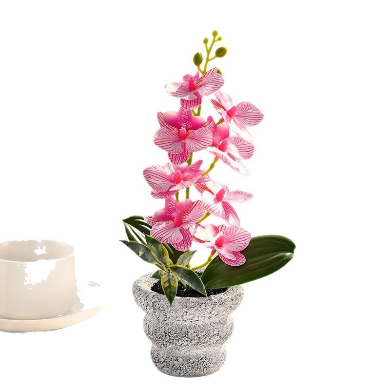 Pequeñas 8 flores Phalaenopsis bonsai flor artificial moda creativa decoración de flores decoración artificial planta verde simulación pequeña en maceta image 6