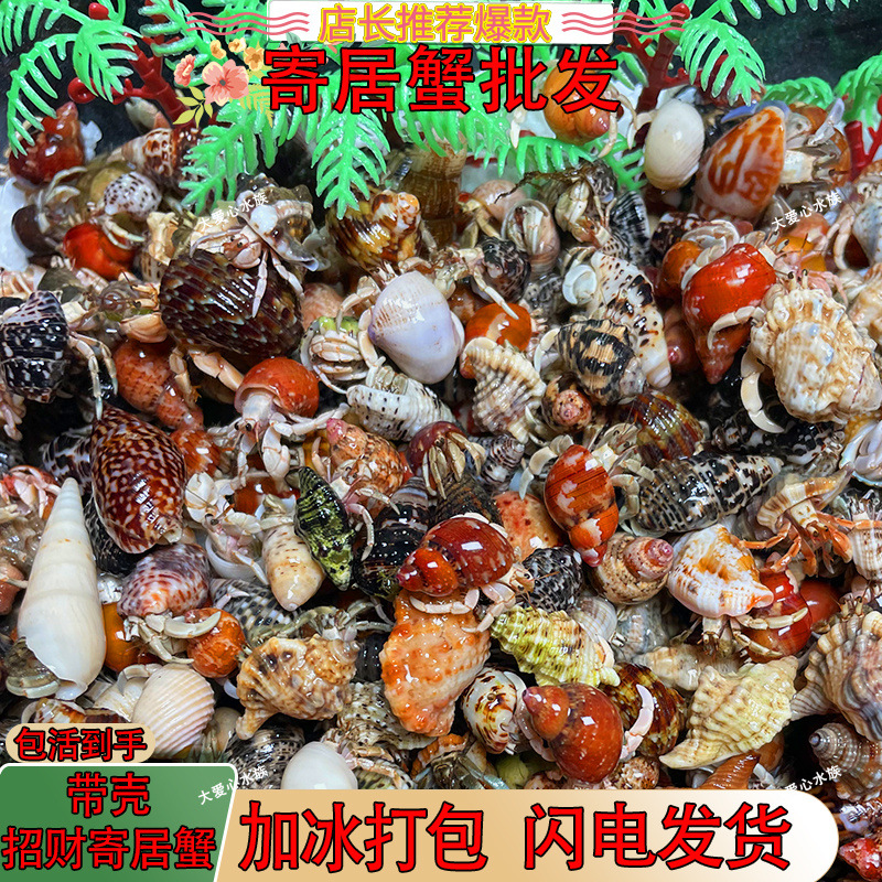 02d418a6-5c84-4115-b927-13ac6b10402e.jpe