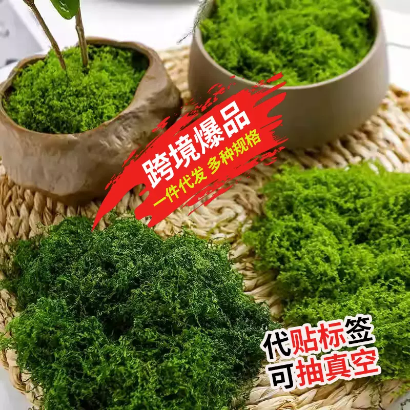跨境仿真苔藓草皮仿生人造假青苔微景观布置摆件草坪盆景盆栽造景