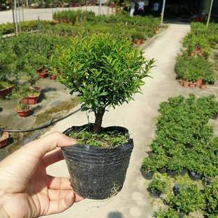 �ļ������҃�������B�^�~�Gֲ�Ϙ�С�~�������΢���^�辰�����