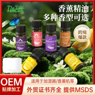 ��޹���ͼӝ���������޹�C��Ȼ�η�ֲ������ȼ���޹�²ݱ���̴��