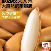 巴西松子特大颗粒原味500g阿富汗手剥松子进口2025新货坚果