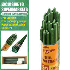 跨境专供植物爬藤支架番茄黄瓜蔬菜爬藤杆出口包塑钢管葡萄爬藤架