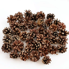 圣诞装饰品;木质工艺品;植物工艺品