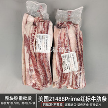 ����21488�t��Primeţ�ߗl ���Ϳ����������g�� ԭ�м忾ѩ��ţ��