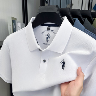 ���޶���polo����2026�ļ��¿�r�з��I�̽�С�R�����͸��t����