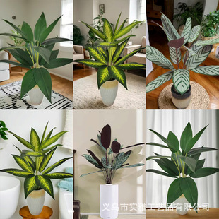 羳Gֲ˽ָzWҾb[쾰ֲ