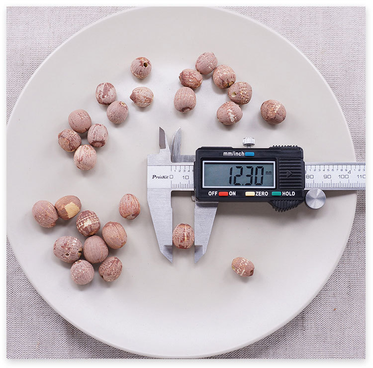 Dried White Lotus Seeds Lian Zi 500g Hunan New Crop Core Removed for Soup Congee and Tea in use