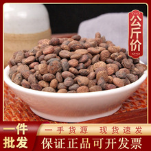 1000g蕤仁中药材现货批发零售新货源头厂家货源 蕤核仁 芮仁